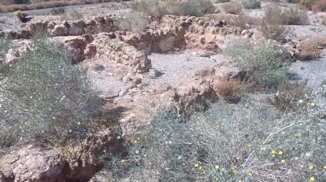 Denuncian el abandono del yacimiento argárico El Rincón de Almendricos - 1, Foto 1