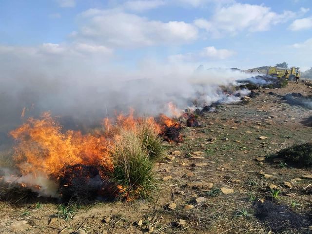 Prevenir y gestionar: la mejor vacuna contra los incendios forestales - 2, Foto 2