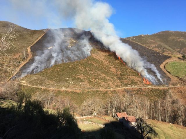 Prevenir y gestionar: la mejor vacuna contra los incendios forestales - 4, Foto 4