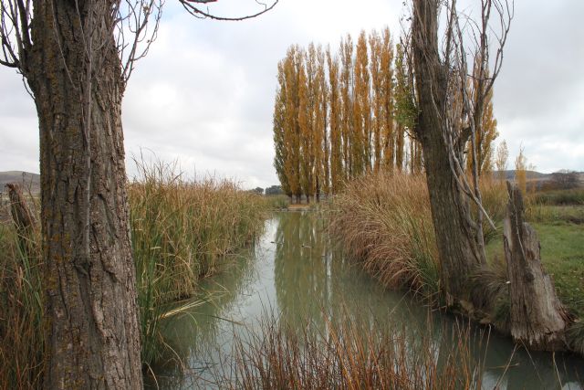 La CHS elimina las restricciones al regadío tradicional en la UTE IV - 1, Foto 1