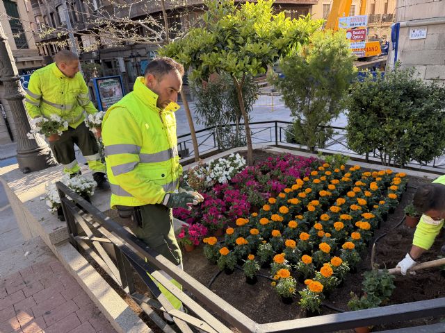 Yecla se viste de primavera con una espectacular cobertura de flores en la plaza de España - 2, Foto 2