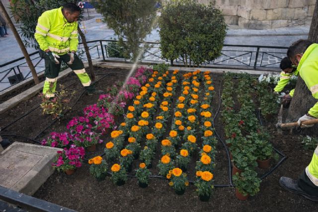 Yecla se viste de primavera con una espectacular cobertura de flores en la plaza de España - 3, Foto 3