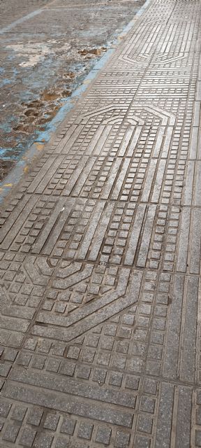 Izquierda Unida cuestiona el gasto en limpieza de Semana Santa y denuncia la ineficacia del servicio contratado - 3, Foto 3