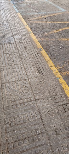 Izquierda Unida cuestiona el gasto en limpieza de Semana Santa y denuncia la ineficacia del servicio contratado - 4, Foto 4