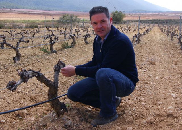 Organizan el próximo 4 de junio una jornada de yoga entre viñedosen Bullas - 1, Foto 1