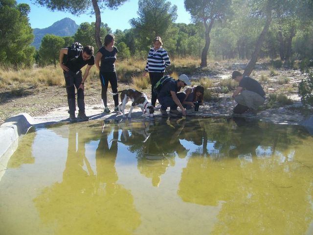 Medio Ambiente fomenta la participación ciudadana en el estudio y protección de especies de interés especial en El Valle - 1, Foto 1
