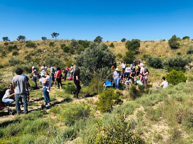 Más de medio centenar de trabajadores de la compañía murciana y sus familiares compartieron una jornada marcada por la concienciación, en la que se plantaron en torno a 200 árboles y arbustos de diferentes especies autóctonas - 2, Foto 2