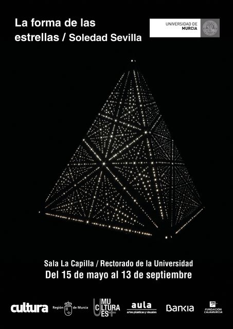 La artista Soledad Sevilla expone en la Universidad de Murcia - 1, Foto 1