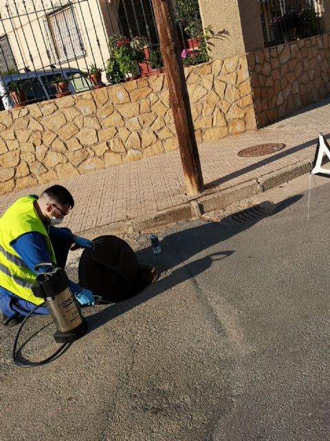 El Ayuntamiento desarrolla un plan de desinsectación en la red de alcantarillado - 1, Foto 1