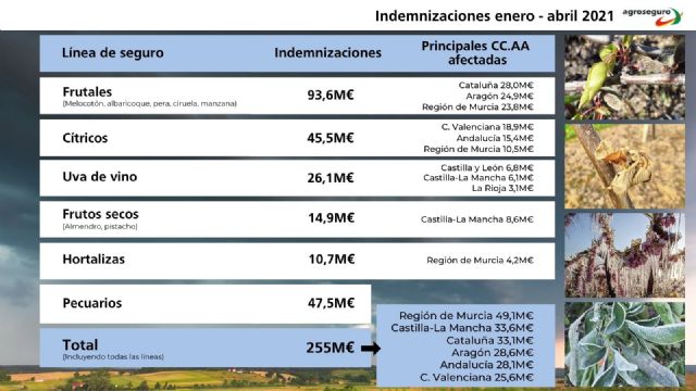 La meteorología complica la realidad del campo: el primer cuatrimestre eleva las indemnizaciones hasta los 255 millones de euros - 1, Foto 1