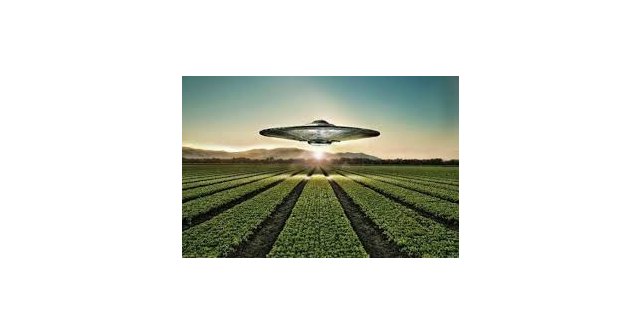 Los circulos de las cosechas. nº 1 - 1, Foto 1