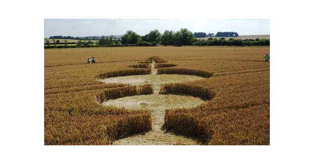 Los circulos de las cosechas. nº 1 - 3, Foto 3