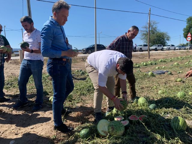 Fulgencio Gil reclama la declaración de zona catastrófica para ayudar a los agricultores afectados por la granizada que ha arruinado miles de hectáreas - 2, Foto 2