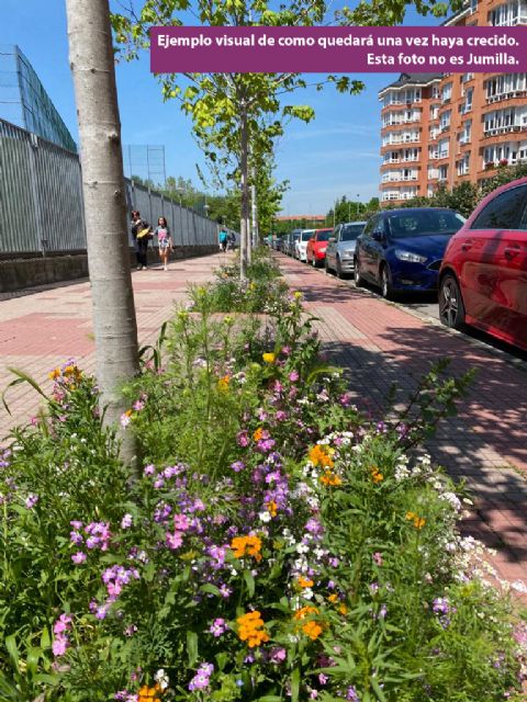 Medio Ambiente retira árboles secos por seguridad y apuesta por zonas verdes más vivas - 2, Foto 2
