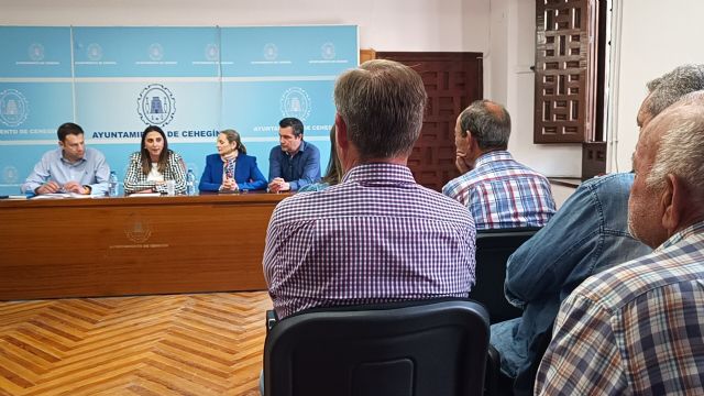 El Gobierno regional ayudará a los agricultores de Cehegín que sufrieron daños durante las lluvias de marzo - 1, Foto 1