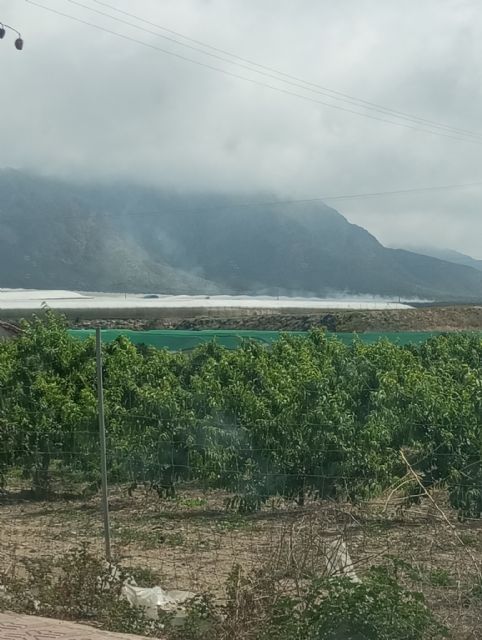 IU-Verdes denuncia la dejadez del Ayuntamiento ante las quemas agr�colas en Mazarr�n, Foto 2