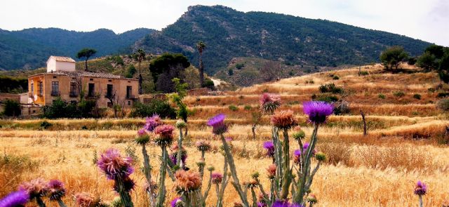 9 años después el pleno debatirá sobre el cejo de los enamorados y la oportunidad declararlo monumento natural - 3, Foto 3