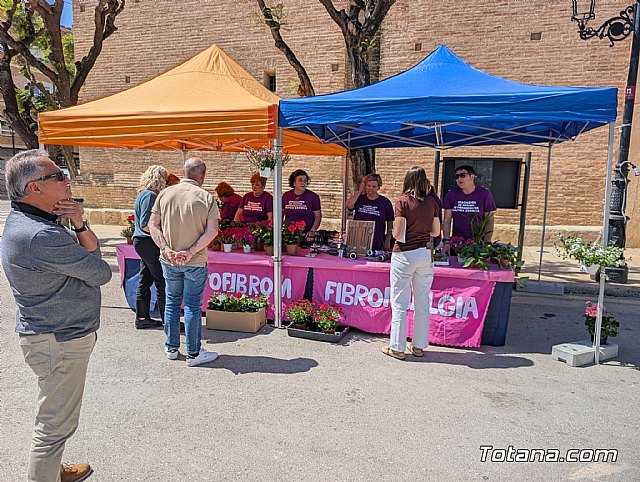 Hagamos que la intolerancia cambie de bando: ASTOFIBROM lee en Totana el 24º manifiesto por la fibromialgia y el síndrome de fatiga crónica, Foto 8
