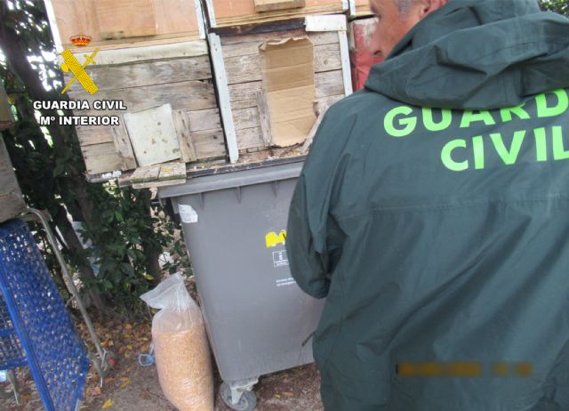 La Guardia Civil recupera ocho palomos deportivos sustraídos en Molina de Segura - 2, Foto 2