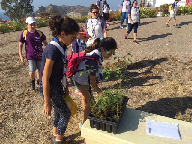 Los scouts repoblaron el Jardín del Hornillo con árboles de Moratalla - 4, Foto 4