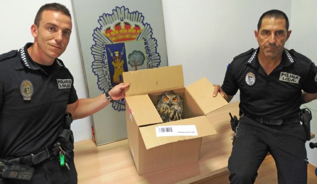 La Policía Local de Puerto Lumbreras rescata a un ejemplar de Búho Real - 1, Foto 1
