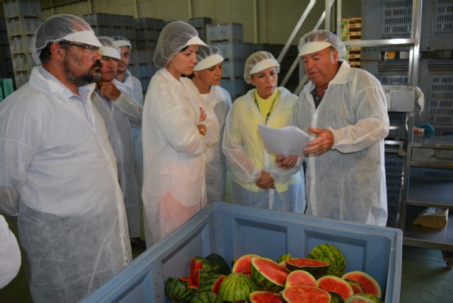 La Consejera de Agricultura, acompañada de la Alcaldesa de Águilas, visita la empresa agrícola Pozo Sur - 1, Foto 1