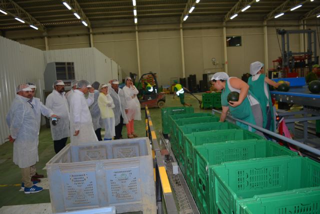 La Consejera de Agricultura, acompañada de la Alcaldesa de Águilas, visita la empresa agrícola Pozo Sur - 2, Foto 2