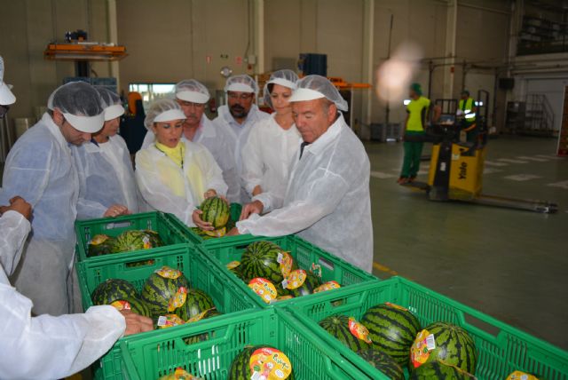 La Consejera de Agricultura, acompañada de la Alcaldesa de Águilas, visita la empresa agrícola Pozo Sur - 3, Foto 3
