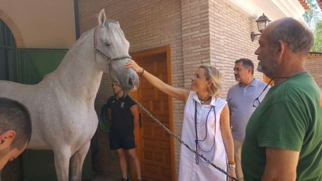 La parada de sementales del CIFEA de Lorca permitirá inseminar este año a cerca de 200 yeguas - 1, Foto 1