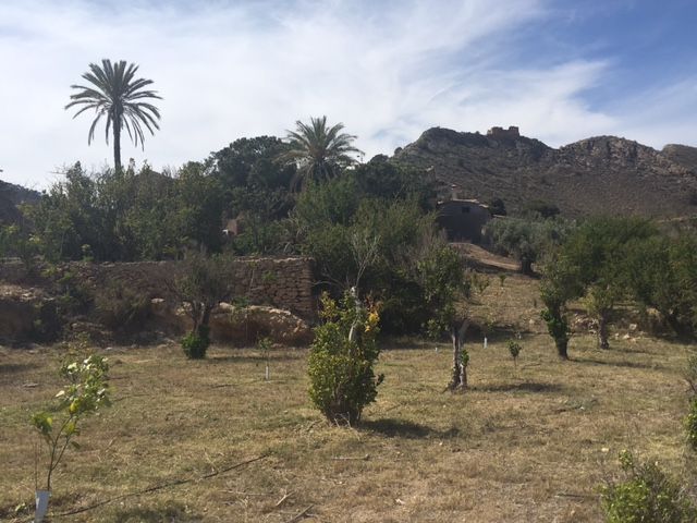Políticos e investigadores debaten cómo conservar la biodiversidad en el paraje aguileño de Chuecos - 4, Foto 4