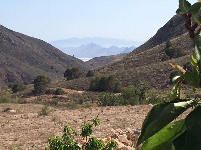 Políticos e investigadores debaten cómo conservar la biodiversidad en el paraje aguileño de Chuecos - 5, Foto 5