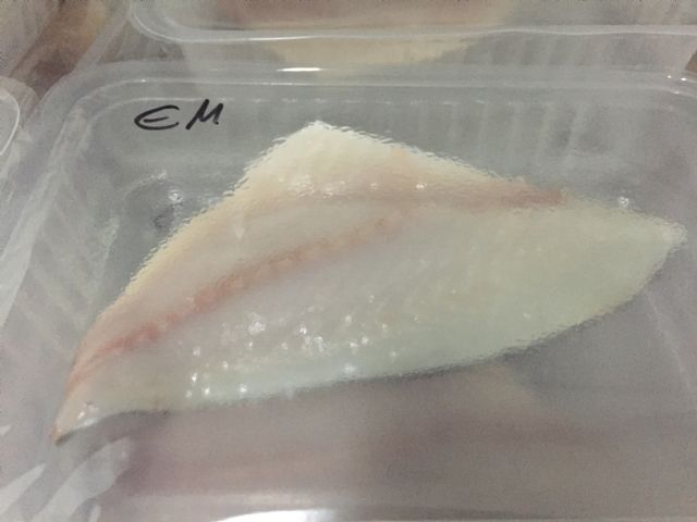 Una patente de la UPCT reduce la agonía de los peces de acuicultura mejorando su calidad y vida útil - 1, Foto 1