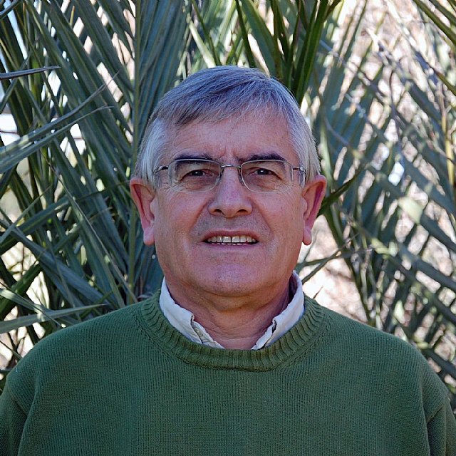 Seré más concreto en la propuesta que hice hace unos días sobre Totana - 1, Foto 1