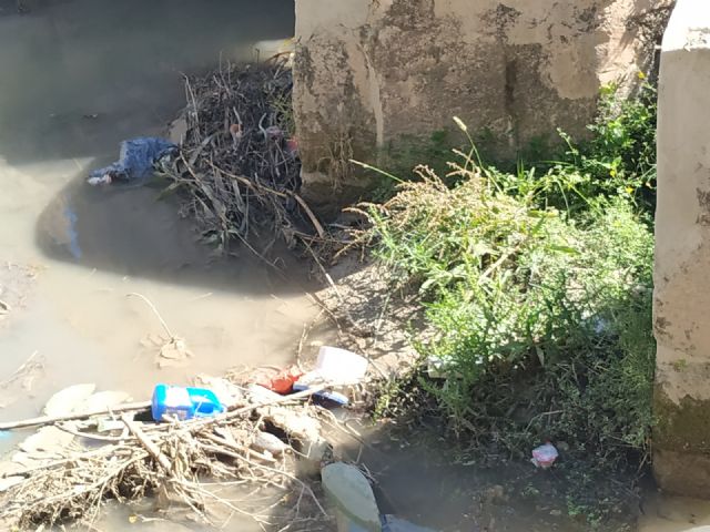 El mal estado de la acequia mayor Alquibla en el Molino de Oliver no es compatible con la Ley de Patrimonio Cultural - 5, Foto 5