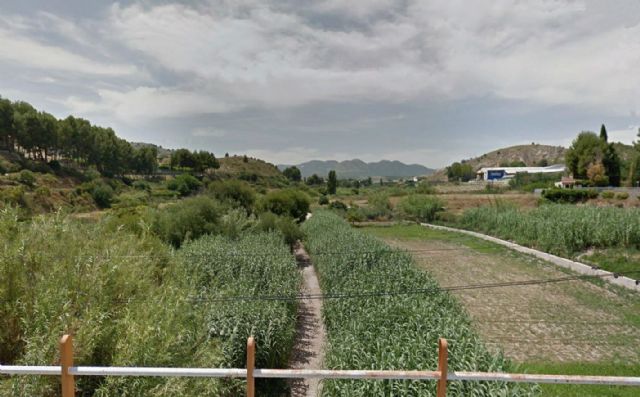 La CHS trabaja en la restauración ambiental de un tramo de 1,4 km del río Argos - 2, Foto 2