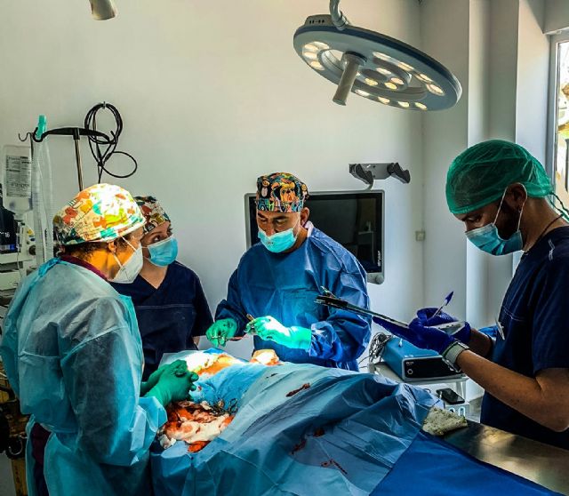 AniCura Jaén Norte Clínica Veterinaria realiza a un lince ibérico una cirugía pionera a nivel mundial - 2, Foto 2