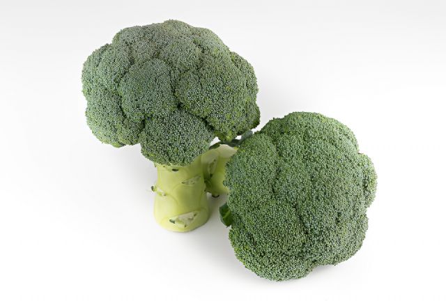 Tozer Ibérica presenta novedades en brócoli, coliflor y cilantro - 2, Foto 2