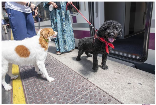 Purina y RENFE amplían alcance del Proyecto Mascota Grande - 2, Foto 2