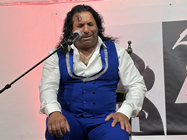 El nivel de los cantaores pone en pie al patio en la segunda noche de concurso - 5, Foto 5