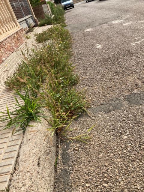 El PP denuncia el estado de degradación al que el actual alcalde está sometiendo a los vecinos de Almendricos - 1, Foto 1