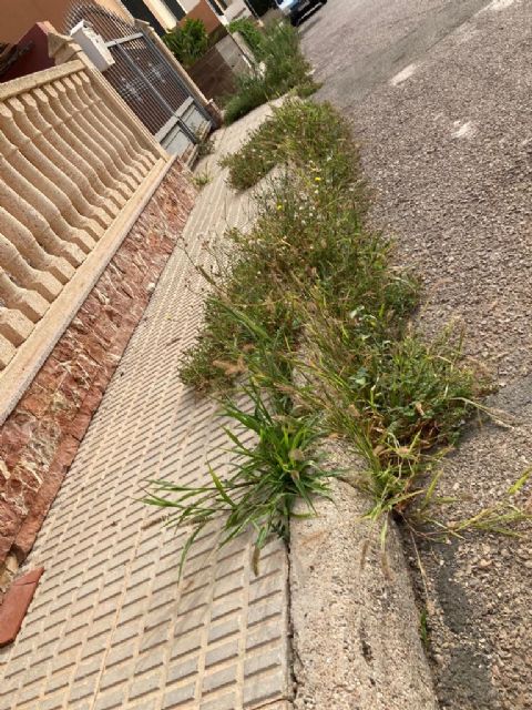 El PP denuncia el estado de degradación al que el actual alcalde está sometiendo a los vecinos de Almendricos - 2, Foto 2