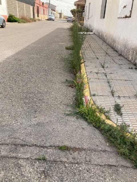 El PP denuncia el estado de degradación al que el actual alcalde está sometiendo a los vecinos de Almendricos - 3, Foto 3