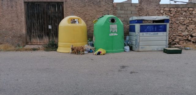 El PP denuncia el estado de degradación al que el actual alcalde está sometiendo a los vecinos de Almendricos - 4, Foto 4