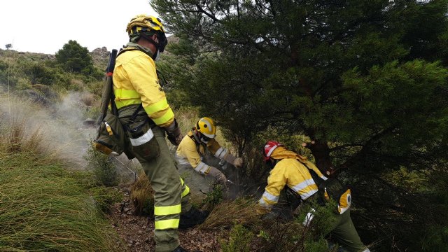 Apagan un conato de incendio provocado por un rayo en Zarzadilla de Totana - 1, Foto 1