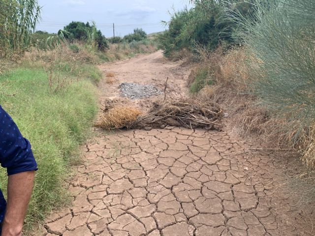 Esta mañana, el Grupo Municipal Vox Lorca, ha visitado la pedanía de Almendricos - 3, Foto 3