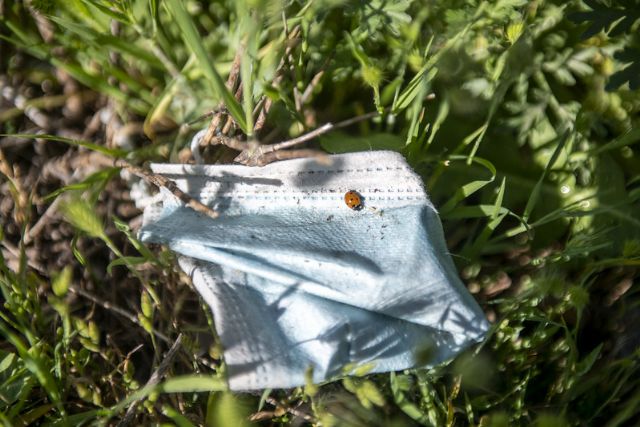 Campañas de concienciación y colaboración del Proyecto LIBERA - 2, Foto 2