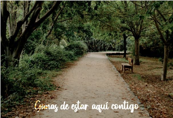 Correos emite dos mil tarjetas prefranqueadas con el lema Caravaca. Ganas de estar contigo - 3, Foto 3