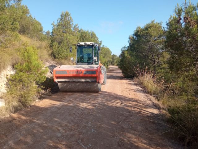 El Ayuntamiento acondiciona más de 130 kilómetros de caminos rurales durante la primera mitad de 2022 - 4, Foto 4