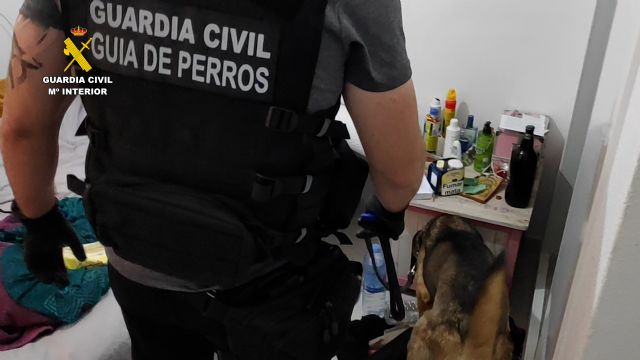La Guardia Civil desarticula el grupo delictivo que atracaba comercios de media Región, Foto 6