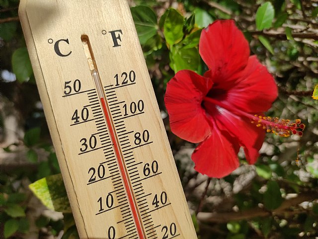 ¿Altas temperaturas? Consejos infalibles para proteger los cartuchos de tinta - 1, Foto 1